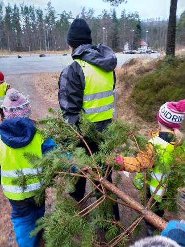 Førskolebarna har hentet ett juletre vi kan pynte med i barnehagen. 